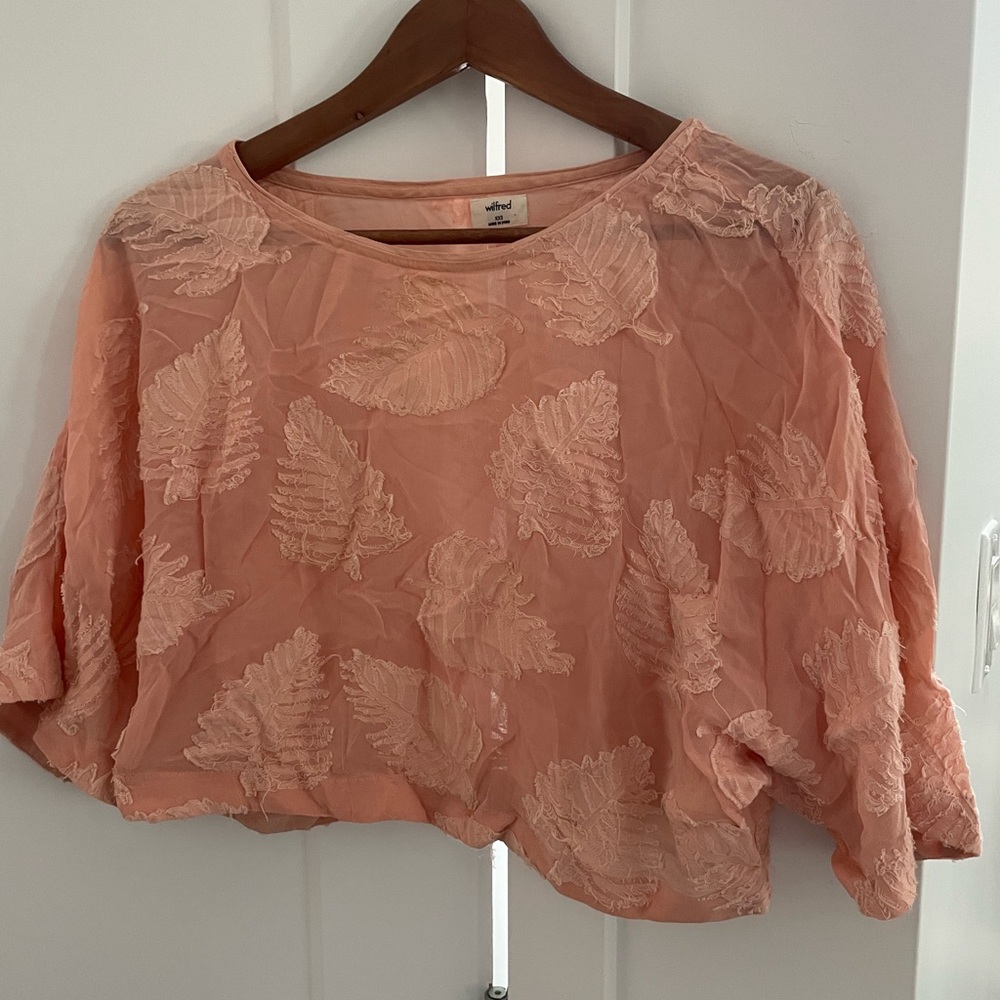 Sheer Aritzia Crop Top with Palm Leaves